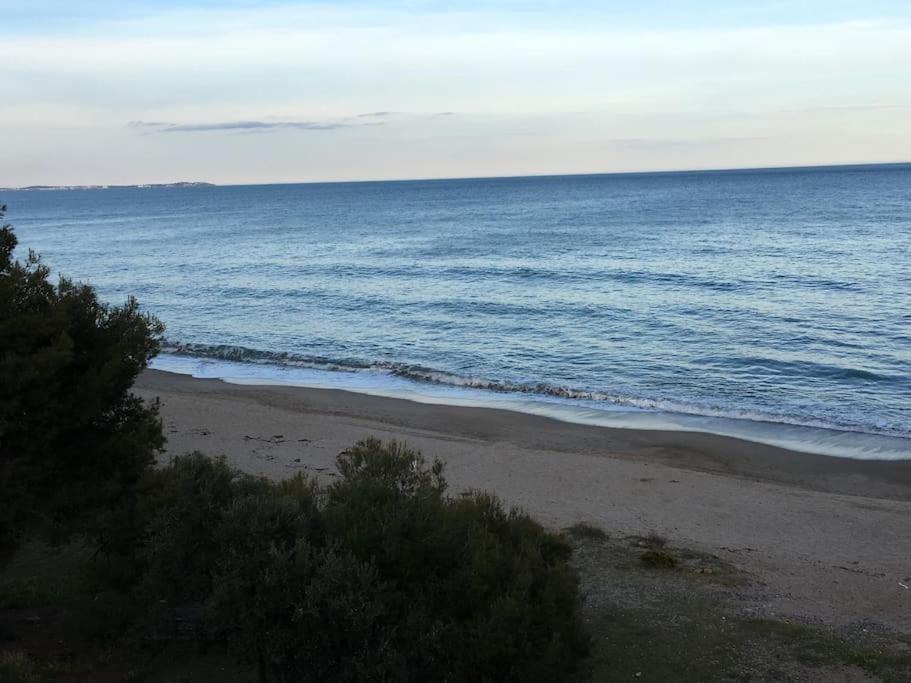 Beach-Lovers - Apartamento 1Era Linia Mar Miami Playa Екстер'єр фото